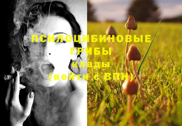 ешки Алексин