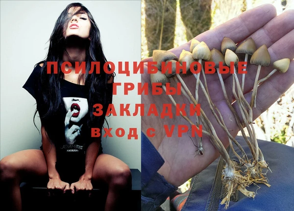 ешки Алексин