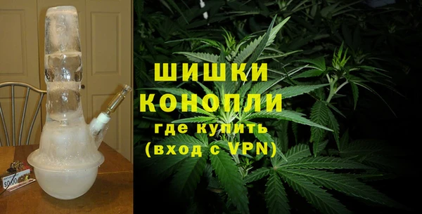 хмурый Новозыбков