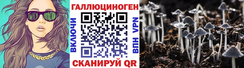 Галлюциногенные грибы Magic Shrooms  Павлово 